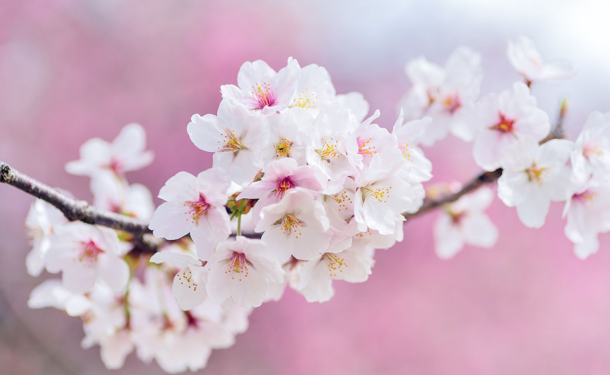 ENDLICH FRÜHLING IST DA!